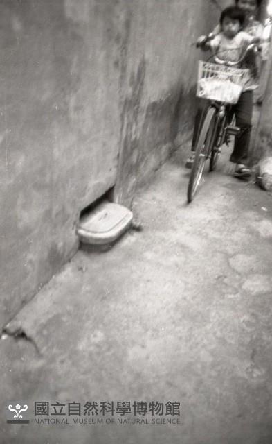 1950至2006年臺灣常民生活藏品圖，第1張