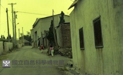 1950至2006年臺灣常民生活藏品圖，第1張