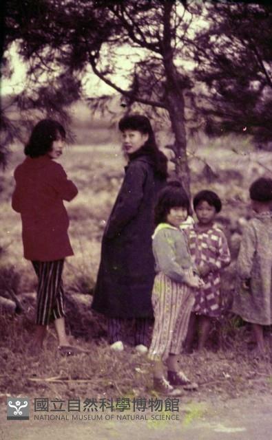 1950至2006年臺灣常民生活藏品圖，第1張