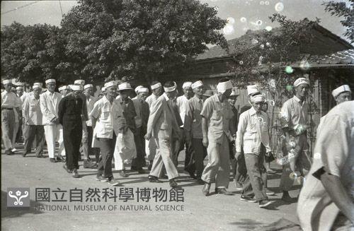 1950至2006年臺灣常民生活藏品圖，第1張