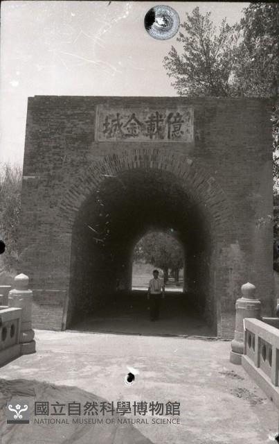 1950至2006年臺灣常民生活藏品圖，第1張