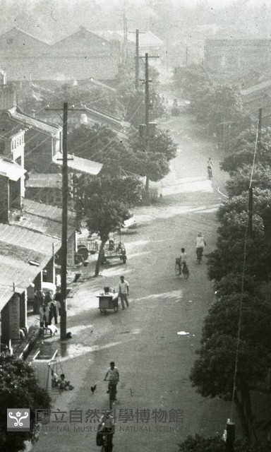 1950至2006年臺灣常民生活藏品圖，第1張