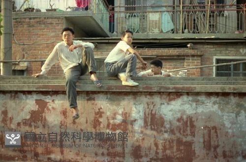 1950至2006年臺灣常民生活藏品圖，第1張