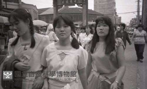 1950至2006年臺灣常民生活藏品圖，第1張