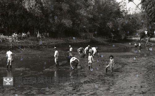 1950至2006年臺灣常民生活 藏品圖，第1張