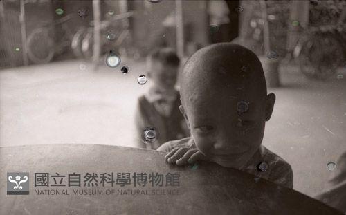 1950至2006年臺灣常民生活藏品圖，第1張