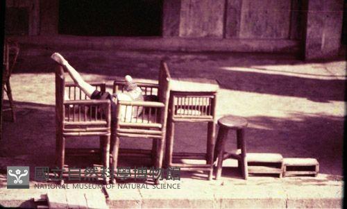1950至2006年臺灣常民生活藏品圖，第1張