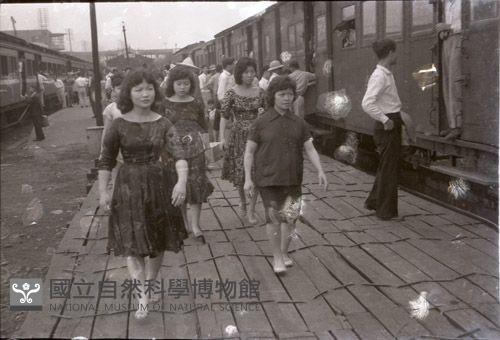 1950至2006年臺灣常民生活藏品圖，第1張