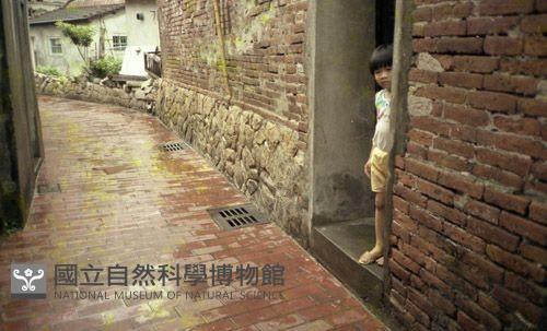 1950至2006年臺灣常民生活藏品圖，第1張