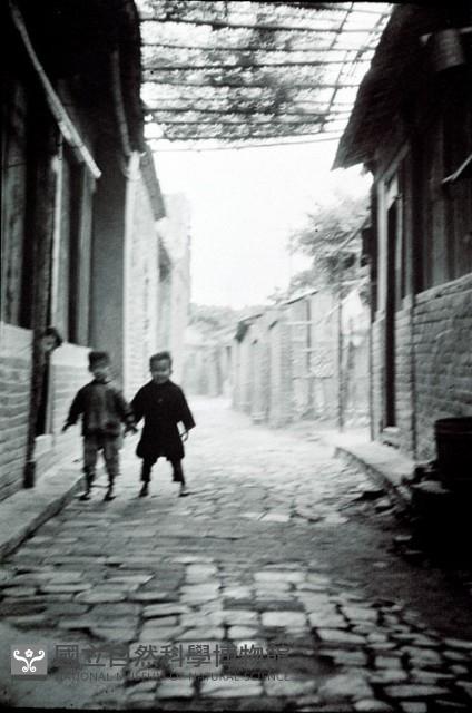 1950至2006年臺灣常民生活藏品圖，第1張