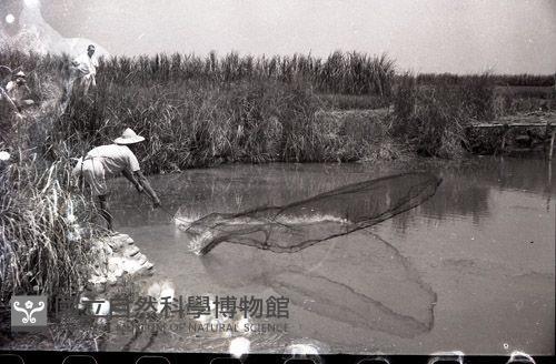 1950至2006年臺灣常民生活藏品圖，第1張