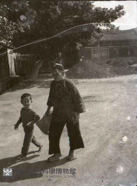 1950至2006年臺灣常民生活藏品圖，第1張