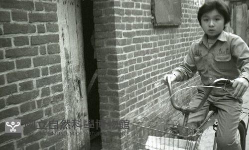1950至2006年臺灣常民生活藏品圖，第1張