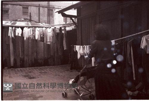1950至2006年臺灣常民生活藏品圖，第1張