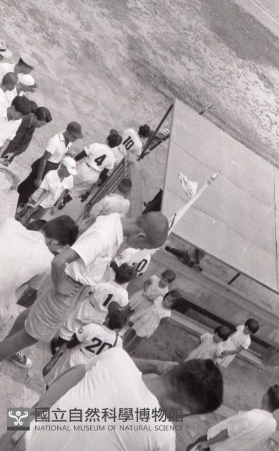 1950至2006年臺灣常民生活藏品圖，第1張