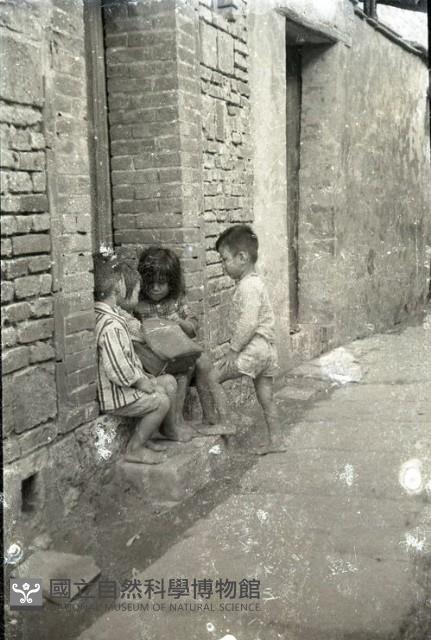 1950至2006年臺灣常民生活藏品圖，第1張