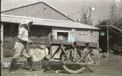 1950至2006年臺灣常民生活藏品圖，第1張