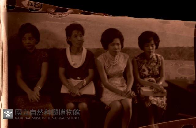 1950至2006年臺灣常民生活藏品圖，第1張