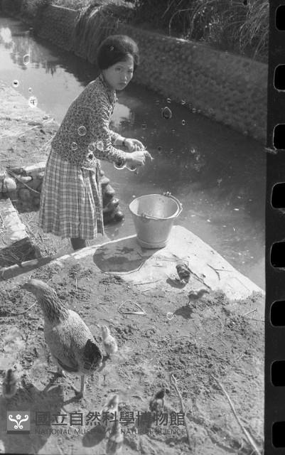 1950至2006年臺灣常民生活藏品圖，第1張