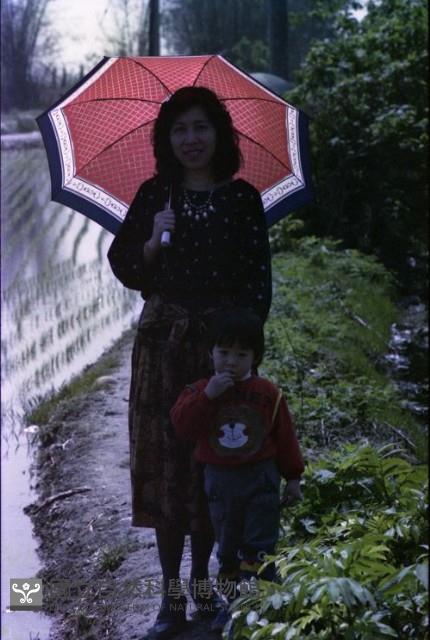 1950至2006年臺灣常民生活藏品圖，第1張