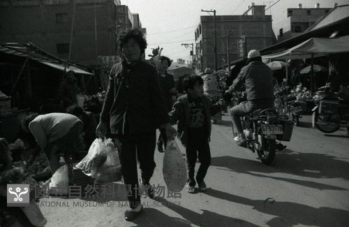 1950至2006年臺灣常民生活藏品圖，第1張