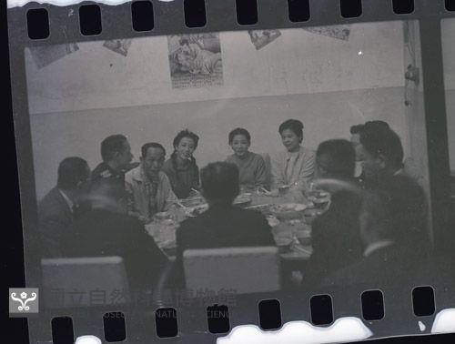 1950至2006年臺灣常民生活藏品圖，第1張