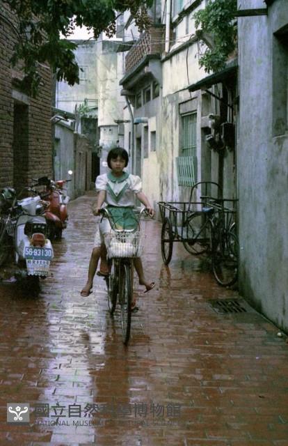 1950至2006年臺灣常民生活藏品圖，第1張