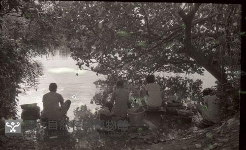 1950至2006年臺灣常民生活藏品圖，第1張