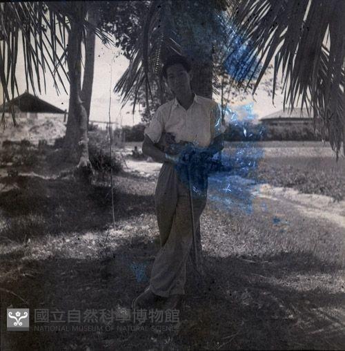 1950至2006年臺灣常民生活藏品圖，第1張