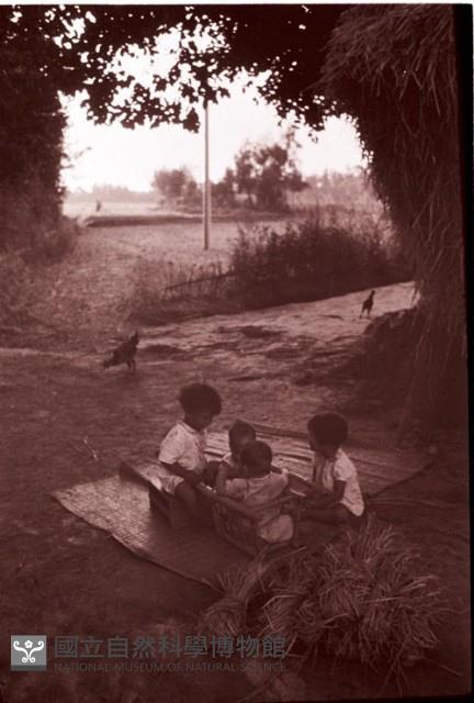 1950至2006年臺灣常民生活藏品圖，第1張