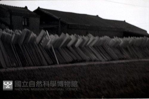 1950至2006年臺灣常民生活藏品圖，第1張