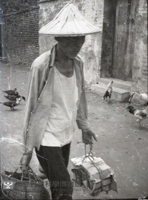1950至2006年臺灣常民生活藏品圖，第1張
