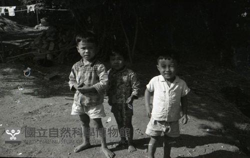 1950至2006年臺灣常民生活 藏品圖，第1張