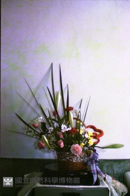 1950至2006年臺灣常民生活藏品圖，第1張