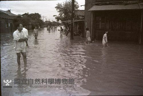 1950至2006年臺灣常民生活藏品圖，第1張