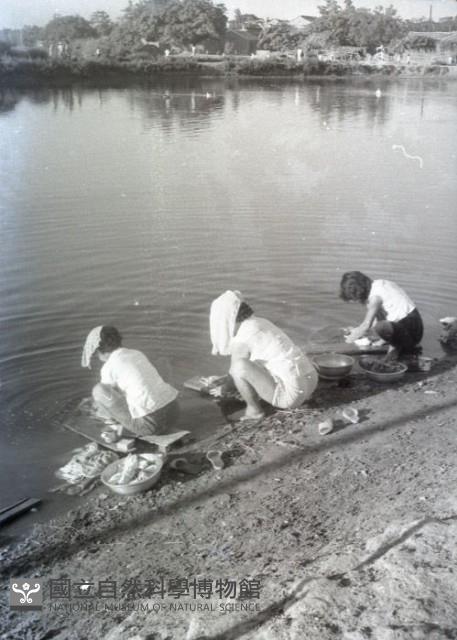 1950至2006年臺灣常民生活藏品圖，第1張