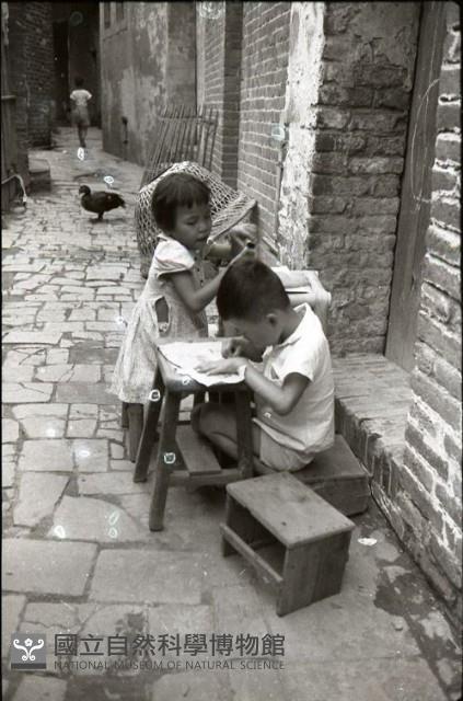 1950至2006年臺灣常民生活藏品圖，第1張