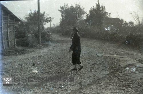 1950至2006年臺灣常民生活藏品圖，第1張