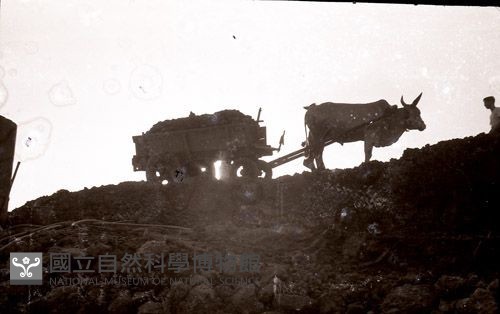 1950至2006年臺灣常民生活藏品圖，第1張