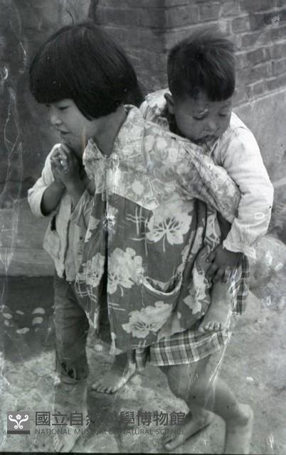 1950至2006年臺灣常民生活藏品圖，第1張