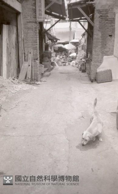 1950至2006年臺灣常民生活藏品圖，第1張