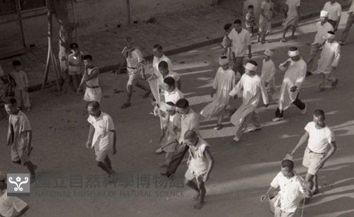 1950至2006年臺灣常民生活藏品圖，第1張