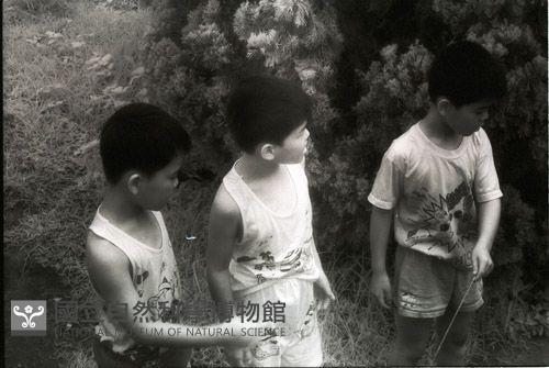 1950至2006年臺灣常民生活藏品圖，第1張