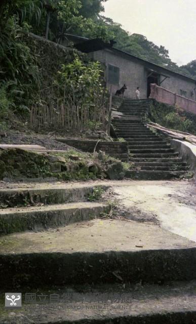 1950至2006年臺灣常民生活藏品圖，第1張