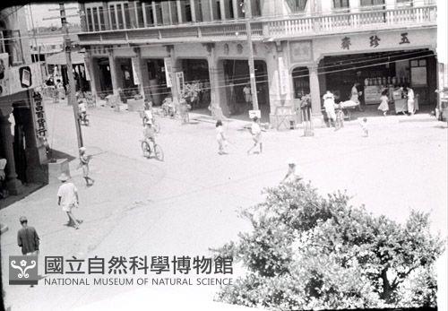 1950至2006年臺灣常民生活藏品圖，第1張