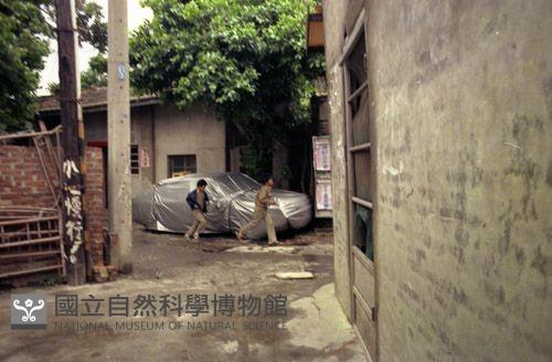1950至2006年臺灣常民生活藏品圖，第1張