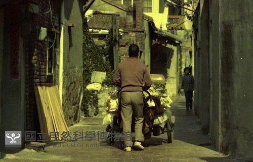 1950至2006年臺灣常民生活藏品圖，第1張