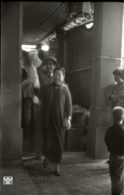 1950至2006年臺灣常民生活藏品圖，第1張