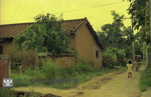 1950至2006年臺灣常民生活藏品圖，第1張