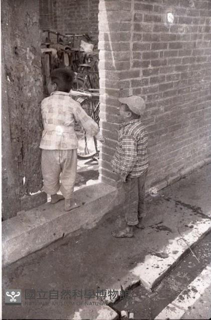 1950至2006年臺灣常民生活藏品圖，第1張